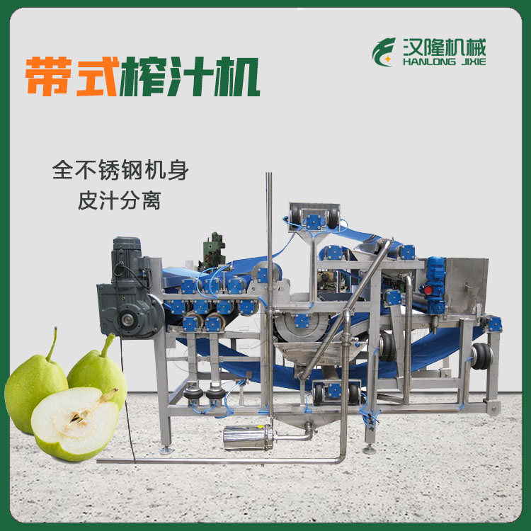 多功能梨汁榨汁机 DYJ型全自动大型工业不锈钢水果榨汁机 可定制